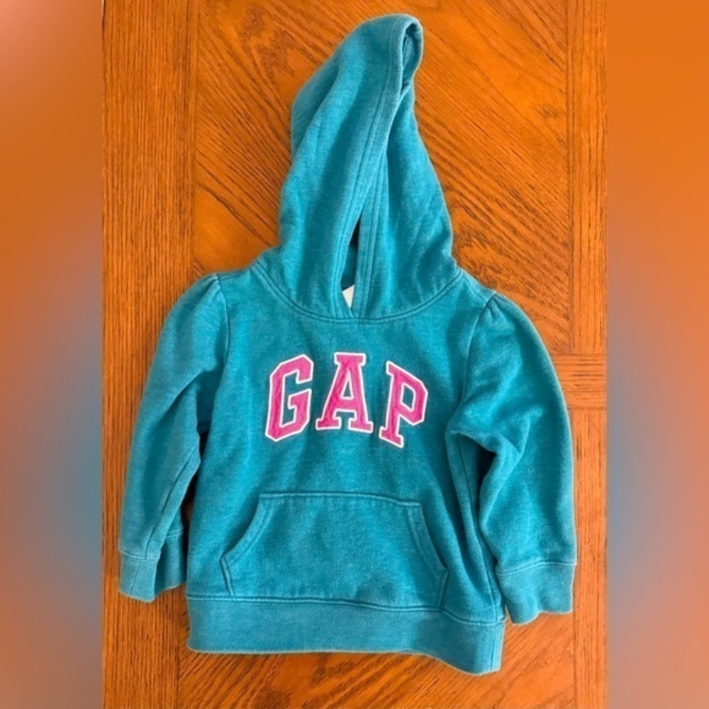 Baby Gap Hoodie Toddler Girl